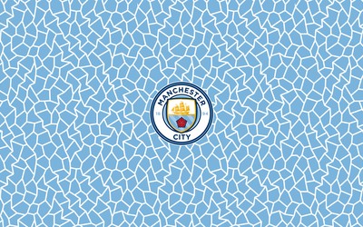 欧盈体育快讯-赖斯转会传闻终于落幕确认